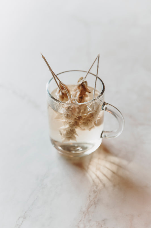 Greek Mountain Tea