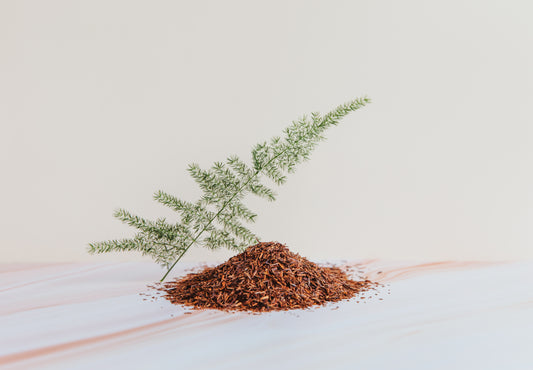 Ruby Rooibos Theezakjes BIO FT
