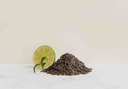 TwisTea-Bag Earl Grey 30 stuks