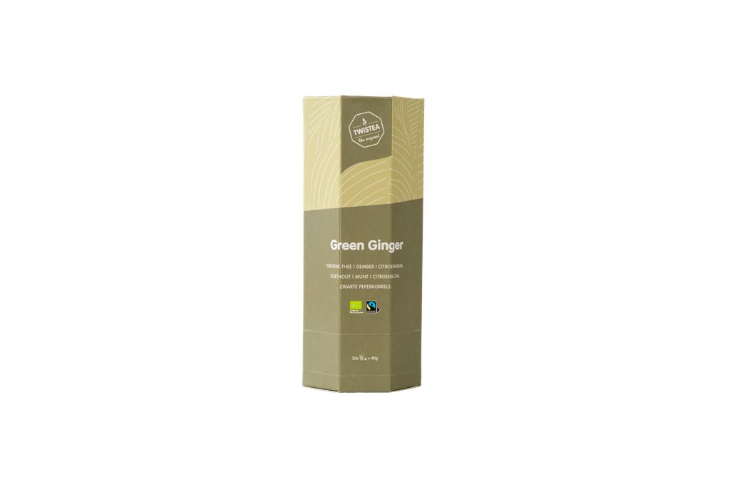 Green Ginger Theezakjes BIO FT