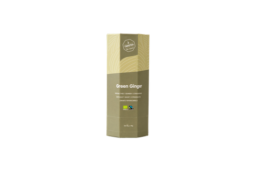 [8720872641034] Green Ginger Theezakjes BIO FT